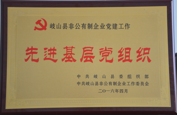 通運(yùn)集團(tuán)黨總支榮獲由岐山縣委組織部、縣非公黨建委員會(huì)授予的“先進(jìn)基層黨組